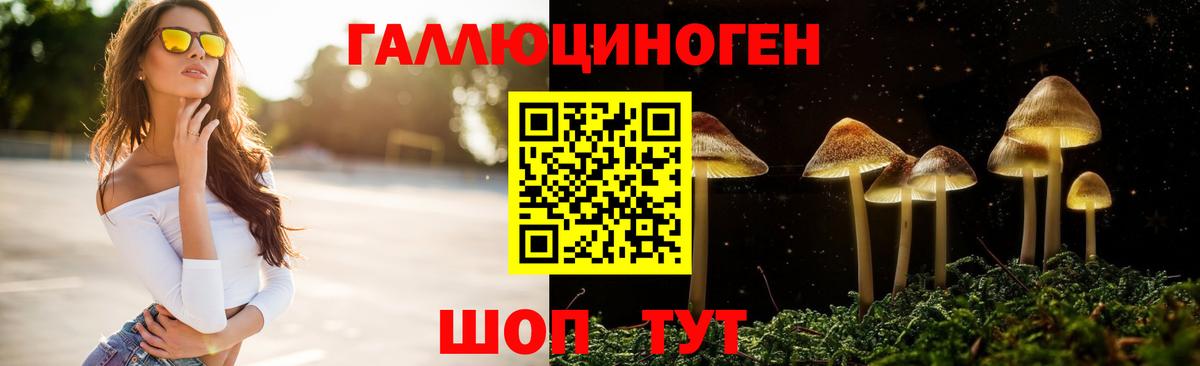 Псилоцибиновые грибы Psilocybe Магадан